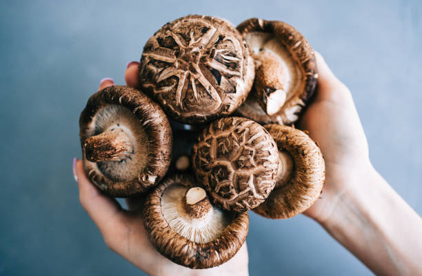 Secret Health Benefits of Mushroom Supplements You Should Be Taking